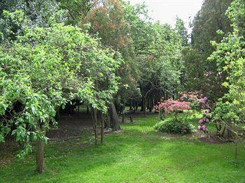 Foxwood Guest House Robin Hood Екстер'єр фото