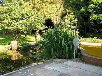 Foxwood Guest House Robin Hood Екстер'єр фото